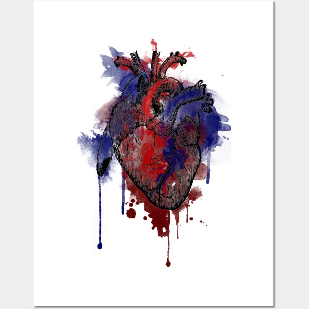 Digital Anatomical Watercolor Heart (Black Version) Wall Art by SingeDesigns